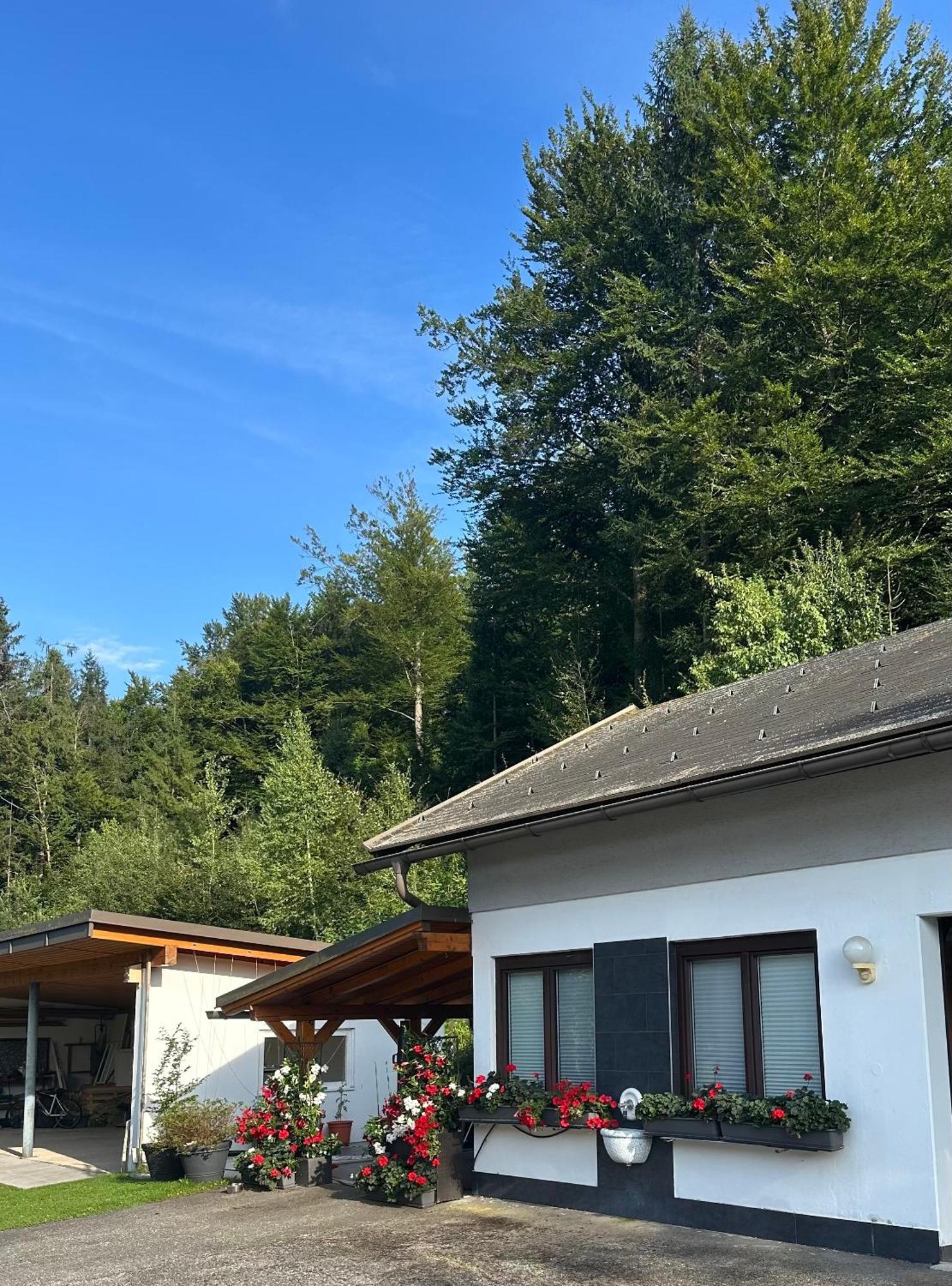 Ferienwohnung Waldblick, Faaker See Oberaichwald  외부 사진